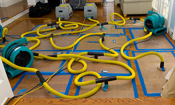 Professional Water Damage Repair technician working in Ramsey, NJ